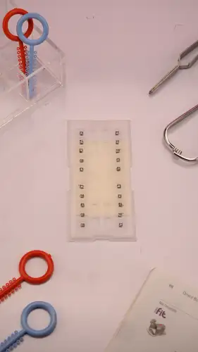 براکت فلزی Maestro OrthoOrganizer - 2